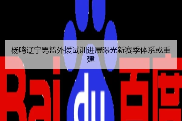 杨鸣辽宁男篮外援试训进展曝光新赛季体系或重建