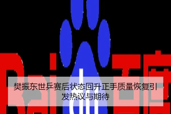 樊振东世乒赛后状态回升正手质量恢复引发热议与期待